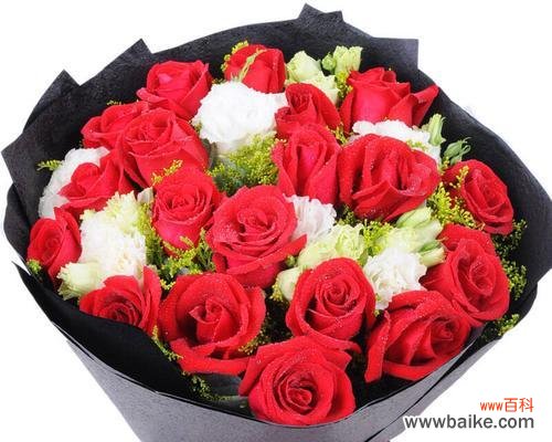 探秘19朵粉玫瑰花的情感价值 19朵粉玫瑰花的深刻寓意