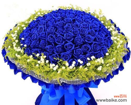 神秘、诱惑、自由 一朵蓝色妖姬的花语