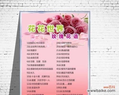 探究不同玫瑰花束数量所传达的情感 花语玫瑰之数量代表意义