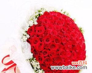 美丽与爱的结合 用两朵玫瑰花传递的情感