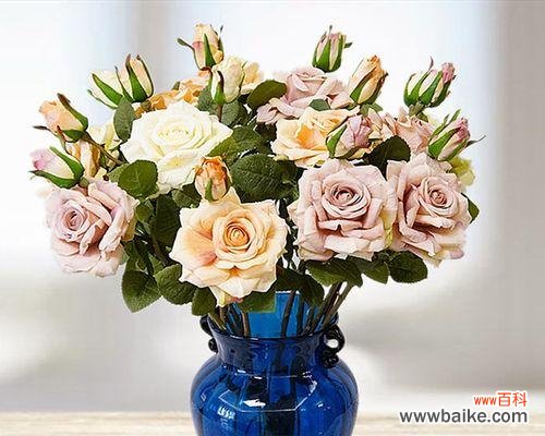 美丽与爱的结合 用两朵玫瑰花传递的情感