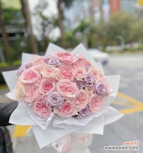 解读粉色玫瑰花的浪漫与温馨 33朵粉色玫瑰花的意义与象征