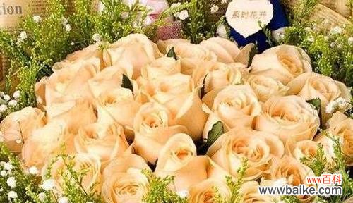 表达感恩和深情的最佳选择 19朵玫瑰的花语