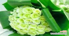 探究绿色花语与情感表达 绿玫瑰的象征意义