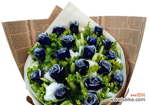 解读蓝玫瑰花背后的情感寓意 蓝玫瑰花的象征意义与文化内涵