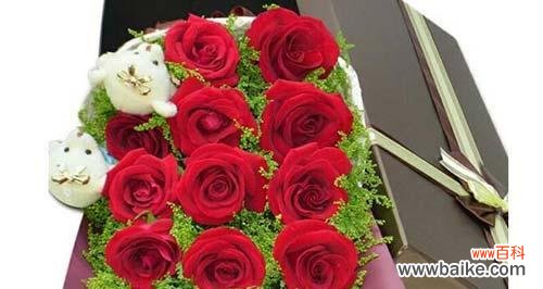 探究23朵玫瑰所代表的含义及如何传达真挚的感情 23朵玫瑰花语的深刻涵义