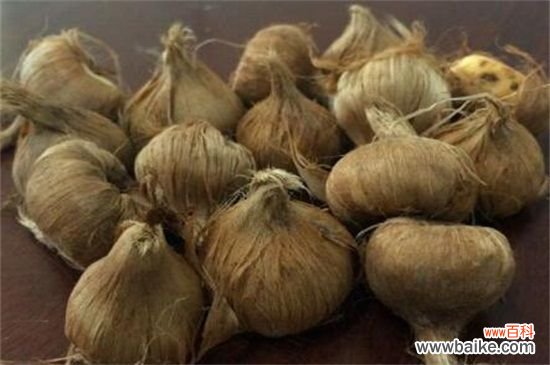 藏红花种子多少钱一斤,价格一般为每斤5~30元