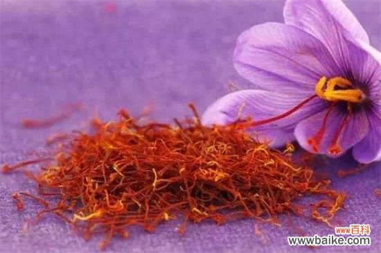 藏红花一亩成本多少钱？1～4万左右