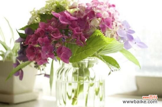 玻璃花瓶插什么花好看？用玻璃瓶插野花有别样风情