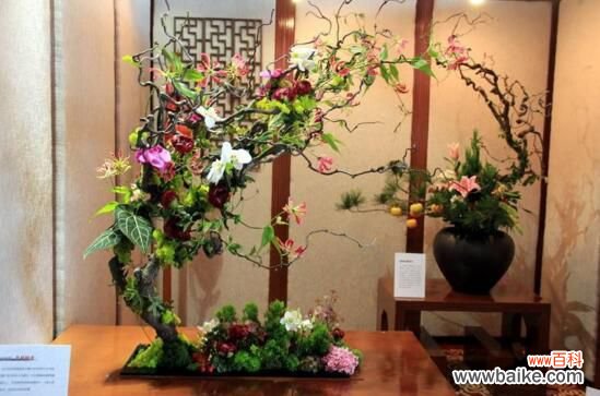 玻璃花瓶插什么花好看？用玻璃瓶插野花有别样风情