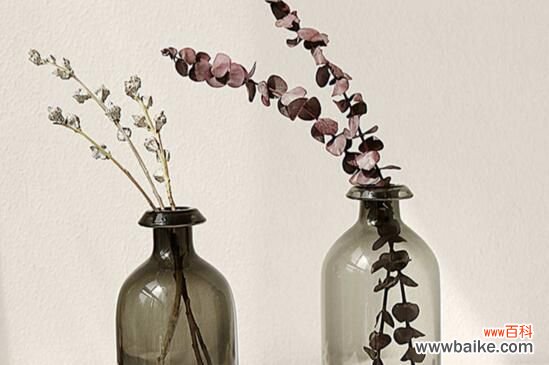 玻璃花瓶插什么花好看？用玻璃瓶插野花有别样风情