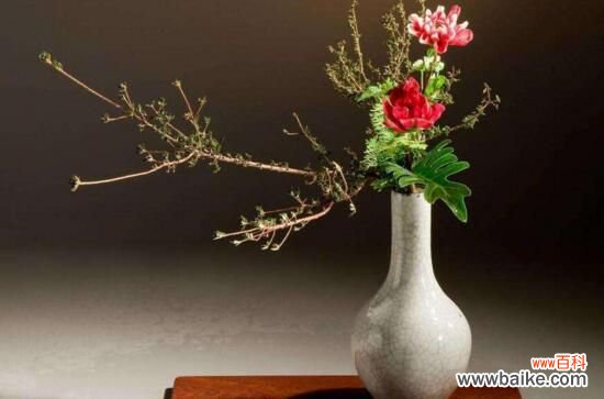 玻璃花瓶插什么花好看？用玻璃瓶插野花有别样风情