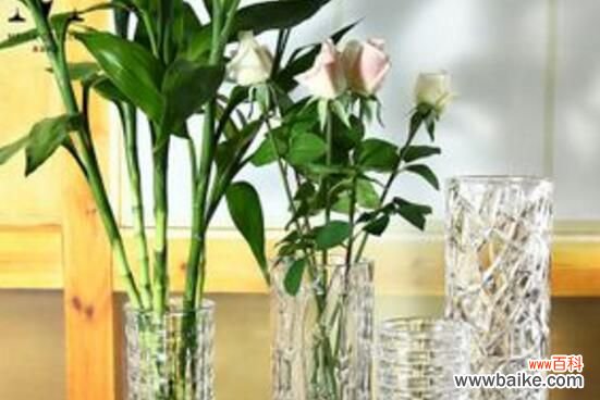 玻璃花瓶插什么花好看？用玻璃瓶插野花有别样风情