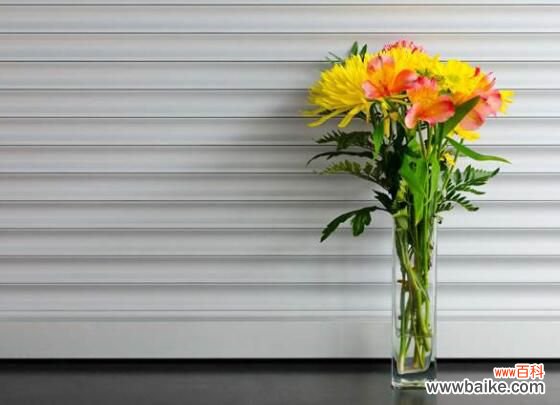 高的花瓶适合养什么花？最适合大气高贵有逼格的花