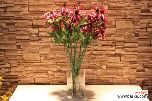 高的花瓶适合养什么花？最适合大气高贵有逼格的花