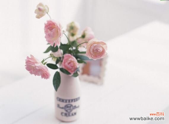 高的花瓶适合养什么花？最适合大气高贵有逼格的花