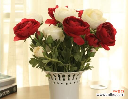花头大的花都行 矮花瓶适合插什么花?芍药/牡丹/玫瑰