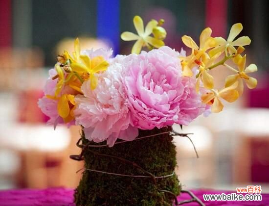 花头大的花都行 矮花瓶适合插什么花?芍药/牡丹/玫瑰