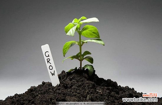 土壤需要消毒吗？消毒方法有哪些？