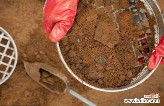 土壤需要消毒吗？消毒方法有哪些？