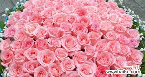 一朵粉色玫瑰代表什么？粉色玫瑰花语的含义是什么？