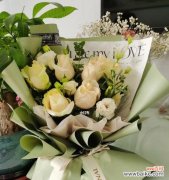 传递爱意的19朵香槟色玫瑰 19朵香槟色玫瑰的花语