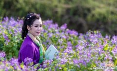 花语传递温暖与希望的神奇力量 二月兰的花语——寄托爱与祝福