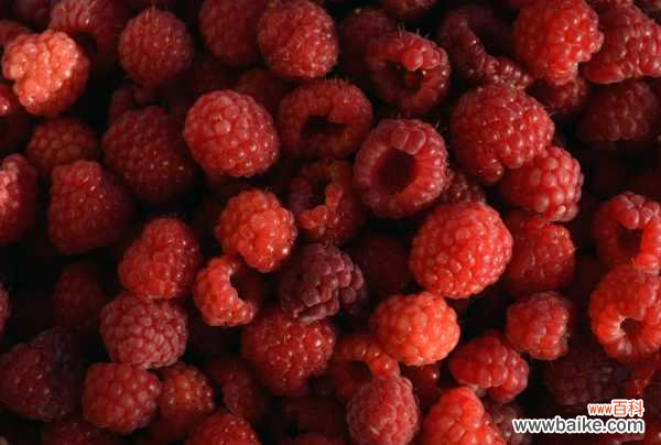 盆栽树莓的种植方法