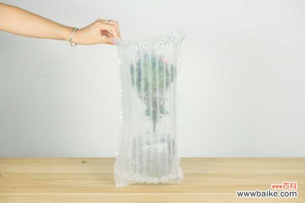 杜鹃花怎么修剪成盆景，杜鹃花盆景如何修剪