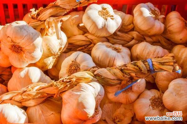 蒜黄怎么种植，什么是蒜黄