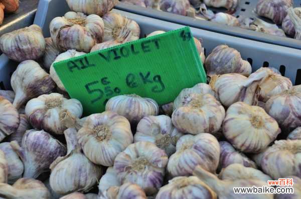 蒜黄怎么种植，什么是蒜黄