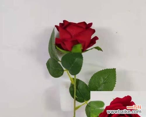 解读玫瑰花的神秘语言 探寻三朵玫瑰的深层含义