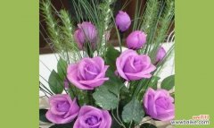 探寻友情之花的深刻含义 友情花开，永不凋零