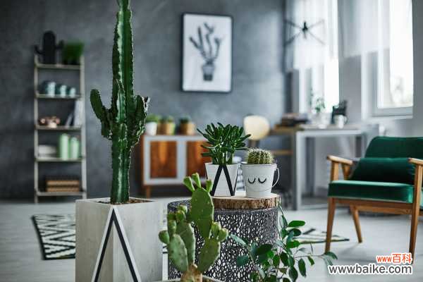 20种花塞进1个玻璃瓶,叶子突突冒水,美的不像样!