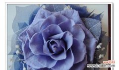 寓意深远的紫色花卉及它们在文化与生活中的含义 一朵紫玫瑰的象征意义