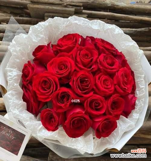 探秘不同花色的含义 十二支玫瑰花花语