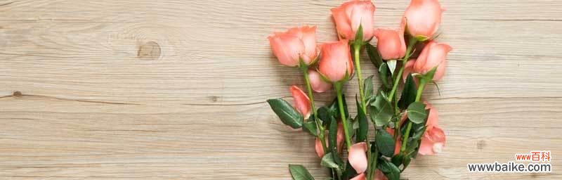 探秘不同花色的含义 十二支玫瑰花花语