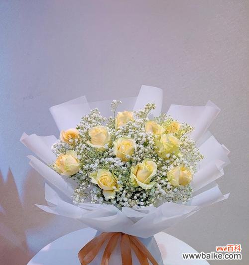 探究每朵代表意思,让你更懂得送花之道 11朵玫瑰花语解析