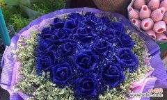 探索蓝色玫瑰的象征意义及文化背景 解读蓝色玫瑰的意义