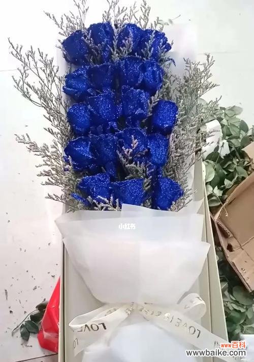 探索蓝色玫瑰的象征意义及文化背景 解读蓝色玫瑰的意义