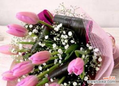 传递友谊之花 友谊花语，送上真挚情谊