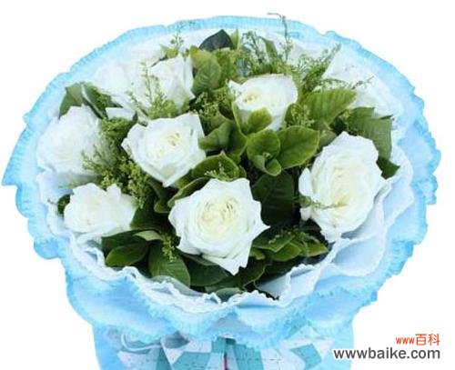 探秘白色玫瑰花语，了解玫瑰的世界 白色玫瑰的含义与象征