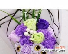 探究紫色康乃馨的神秘之处 紫色康乃馨的花语和寓意