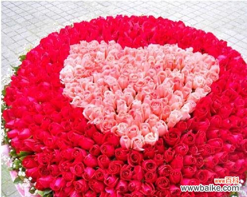 玫瑰花的八种不同的象征意义及应用场合 解析八朵玫瑰花的代表意义