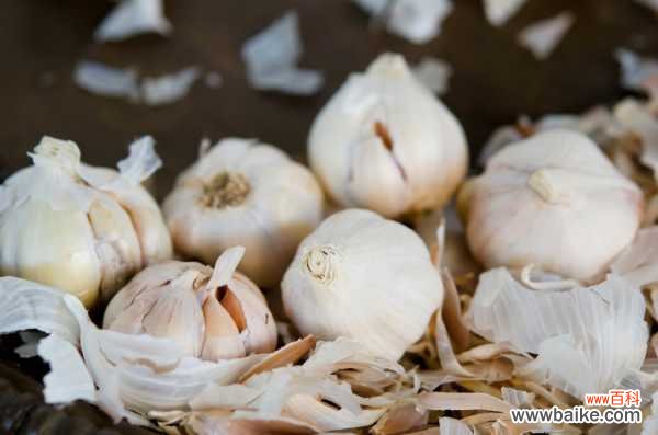 种蒜苗的正确步骤