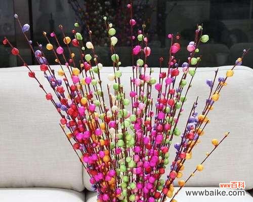 银柳花的寓意是什么？银柳花象征着什么含义？