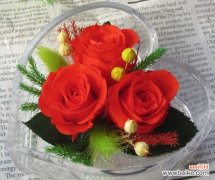 5个窍门 玫瑰花如何延长保鲜？玫瑰花怎么保鲜更久