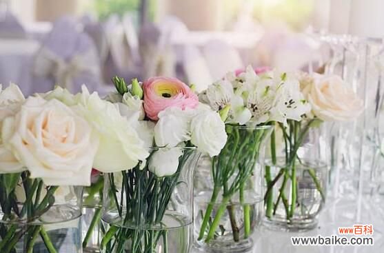 5个窍门 玫瑰花如何延长保鲜？玫瑰花怎么保鲜更久