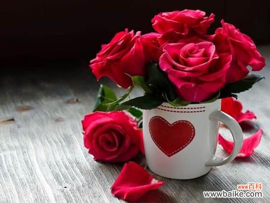 5个窍门 玫瑰花如何延长保鲜？玫瑰花怎么保鲜更久