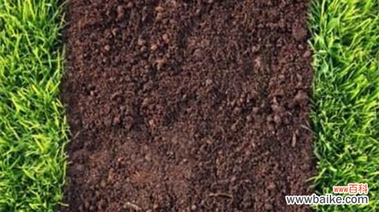 3个步骤 中药渣发酵多长时间?中药怎么发酵做花土